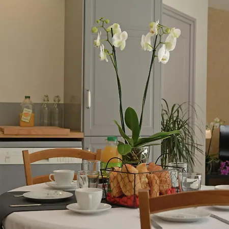 Superb Flat With Private Pool * Carpentras